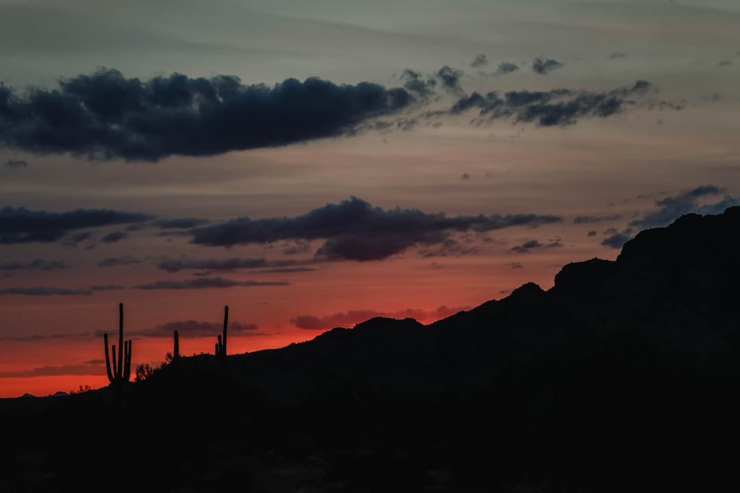 Arizona sunset